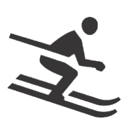 icon skiing